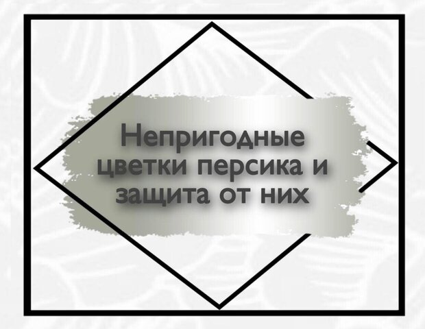 Непригодные цветки персика и защита от них